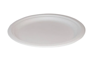 10" White Bagasse Plates  26cm   (x500)